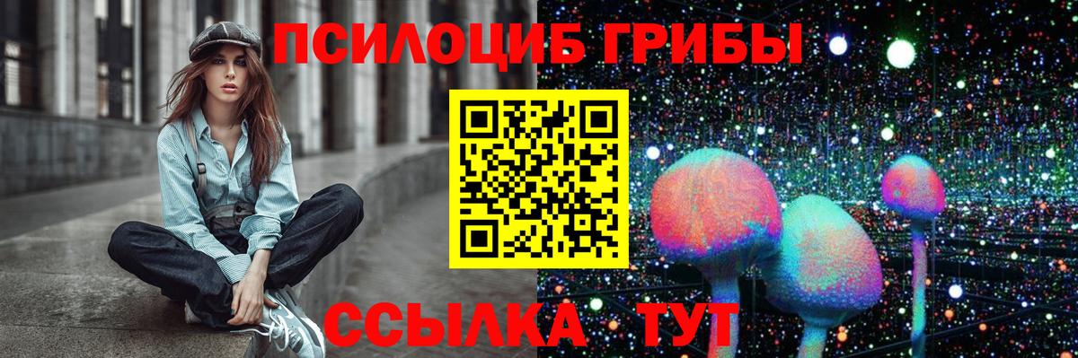 Лыткарино  Псилоцибиновые грибы GOLDEN TEACHER  Вход с VPN 