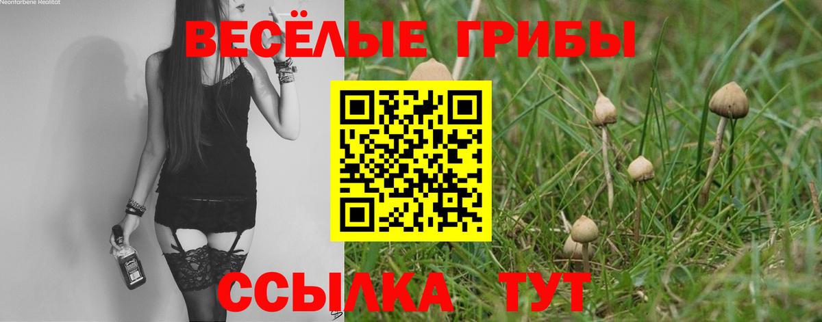 Псилоцибиновые грибы MAGIC MUSHROOMS Лыткарино